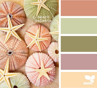 {beach palette}