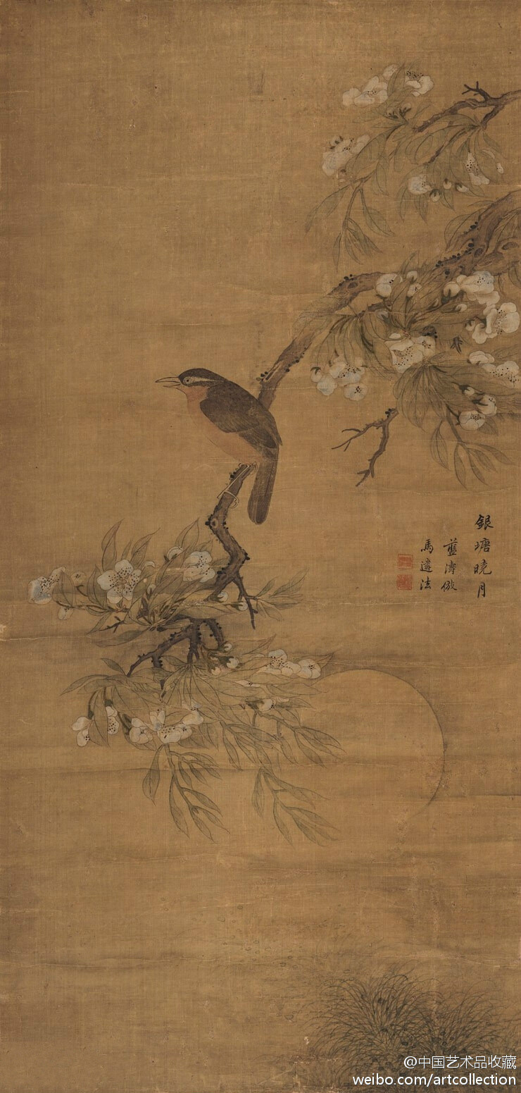 画中的鸟是画眉鸟,这是一种非常名贵的鸟,因为它鸣叫声婉转动听,有南