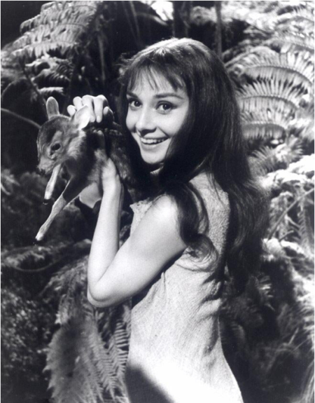 奥黛丽·凯瑟琳·范·赫姆斯特拉·赫本-鲁斯顿（Audrey Kathleen van Heemstra Hepburn-Ruston）