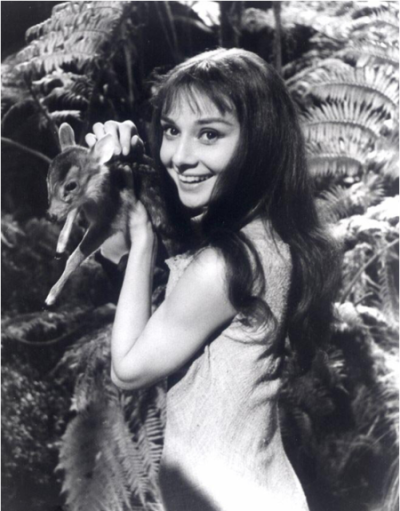 奥黛丽·凯瑟琳·范·赫姆斯特拉·赫本-鲁斯顿（Audrey Kathleen van Heemstra Hepburn-Ruston）