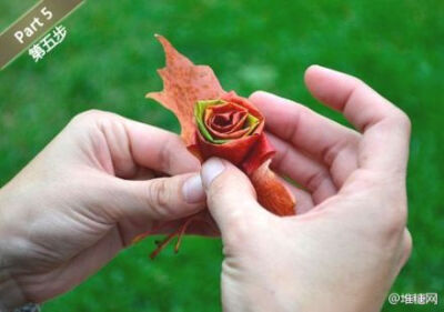 用钱买玫瑰太俗，一秒钟枫叶变成玫瑰花，给自己一个惊喜吧~ http://t.cn/8s4mMv9 (来自糖友北灰.收集）