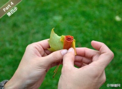用钱买玫瑰太俗，一秒钟枫叶变成玫瑰花，给自己一个惊喜吧~ http://t.cn/8s4mMv9 (来自糖友北灰.收集）