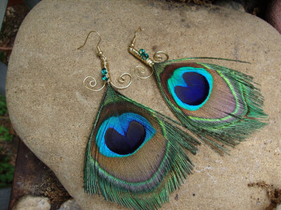 Peacock Feather Earrings by alchemymeg