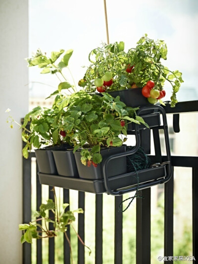 如何把“绿植一角”装扮得更立体?【索克尔 花盆带把手】是不可多得的好帮手哦！双层托架能放六盆花，可以利用植物高矮、大小的不同进行创意摆放，令原本单调的盆栽成为家中别致的一景。