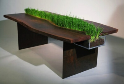 绿植办公桌