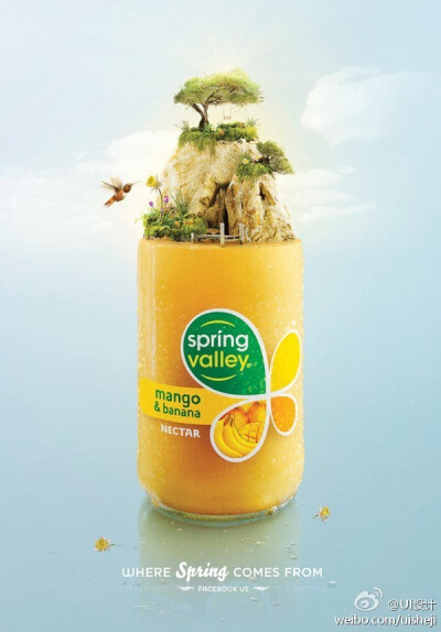 【spring valley果味饮料系列创意设计欣赏 | UI设计网-专业探讨...】 --查看更多，点击进入http://t.cn/8s5AkRA