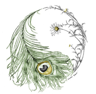 Beautiful feather/daisy yin yang- may be the official winner of the peacock tattoo