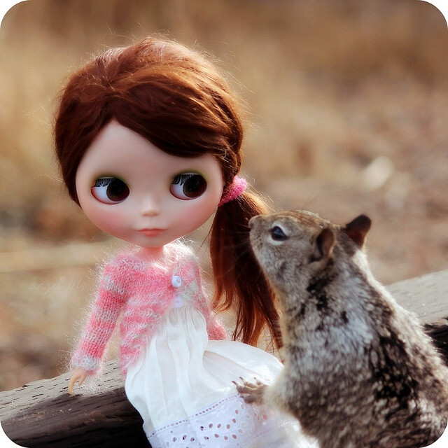 Flickr: The Blythe Beauty and the rabbit