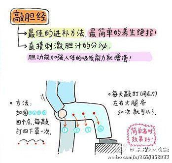 【轻松敲胆经15天变成小鸟腿】 腿粗，对于爱羙的女人的一个大忌。如何“细”腿，成为许多女人追逐的问题。今天就为大家介绍一种有效的“细”腿方法—敲胆经“细”腿法，半个月就能轻松“细”下来。赶快来试试吧。。…