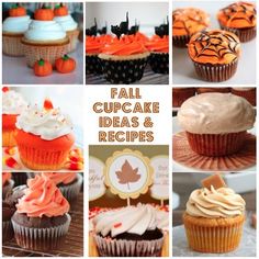 Miss. MP: The Chronicles of a Sassy Magnolia: Fall Cupcake Ideas {And Recipes}