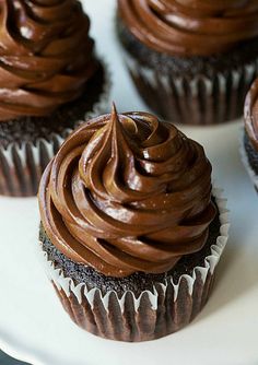 Ultimate Chocolate Cupcakes