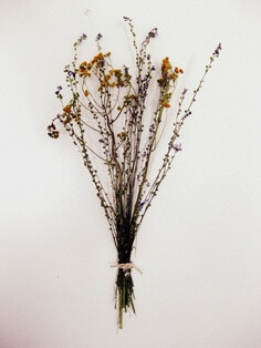 simplicity...the kind of flowers I'd love to get from my boyfriend