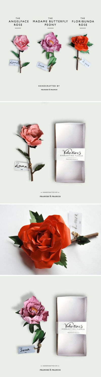 Everlasting Paper Flower by Frances &amp;amp; Francis