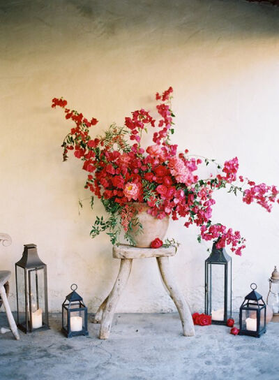 Red flowers