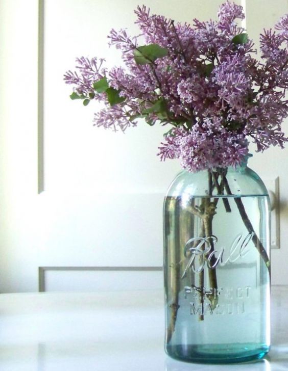 Love lilacs. They smell like heaven.