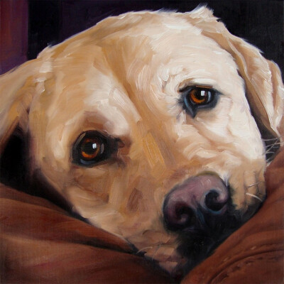 pet portraits | BigLove Moose custom Pet Portrait Oil Painting by puciPetPortraits