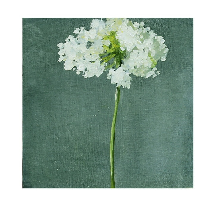 Queen Anne's Lace Still Life Painting Oil on wood panel 10x10 inch wall art. $180,00, via Etsy.
