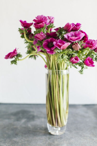 ♆ Blissful Bouquets ♆ gorgeous wedding bouquets, flower arrangements &amp;amp; floral centerpieces - Anemones