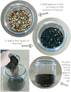 DIY TERRARIUM