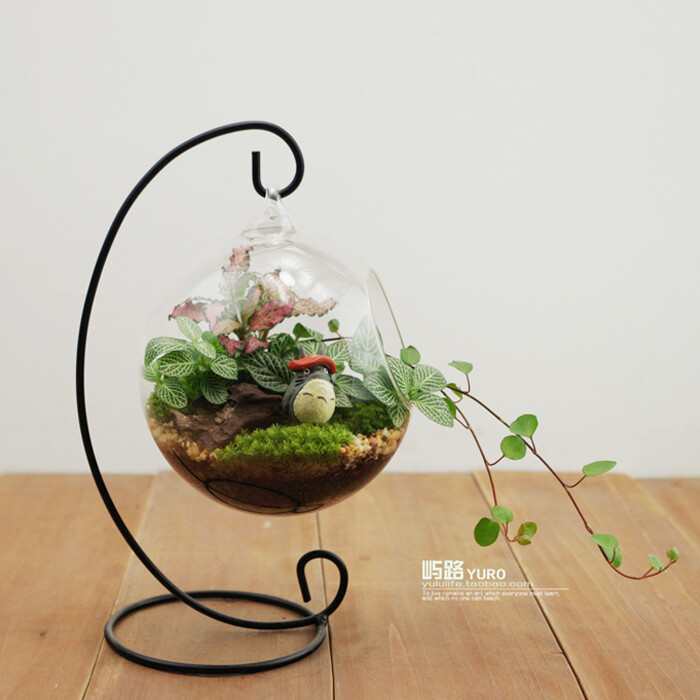 限量正品 屿路生活 苔藓微景观 生态瓶 原创桌面绿植 代写贺卡