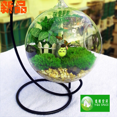 桌面迷你植物盆栽 苔藓微景观生态瓶 DIY生日礼物创意女生女孩