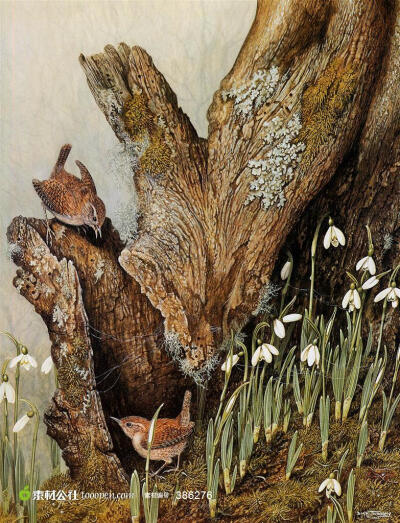 外国大师手绘花鸟画大树脚的两只麻雀图片下载，现在加入素材公社即可参与传素材送现金活动