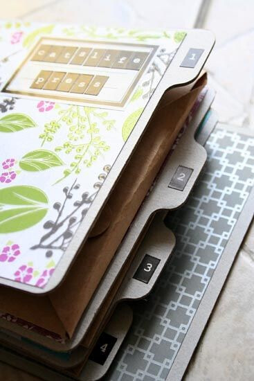 小松茸菇菇子~~~