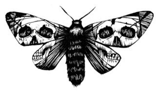 &amp;lt;3 Death Moth---&amp;gt;Scarily similar to the tattoo I have on my back- LOVE