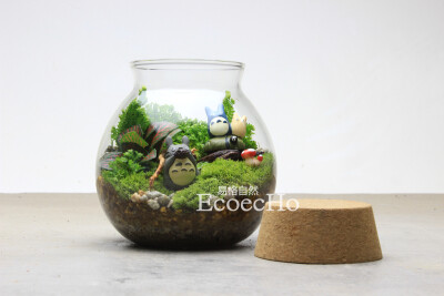 Ecoecho 苔藓微景观 苔藓瓶生态瓶 创意绿植 动漫系列-龙猫