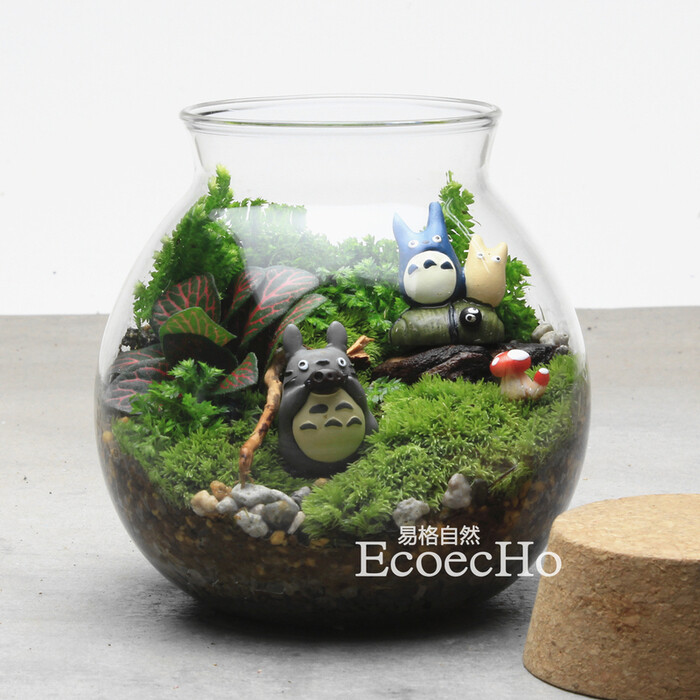 Ecoecho 苔藓微景观 苔藓瓶生态瓶 创意绿植 动漫系列-龙猫