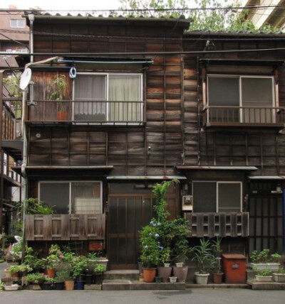 東京植木鉢。日本人对环境的经营非常细心。