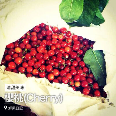 樱桃(Cherry)