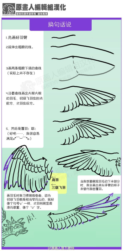 【翅膀教程】【结构&amp;amp;细节知识】【汉化】非常系统详细的介绍了鸟类的翅膀，看完一定很有用处哦。已经拆分成小块，方便阅读。完整图片@微盘 下载：|Bird_Wing_Tutorial_by_TheAntimonyElement.png [8.51M] （v…