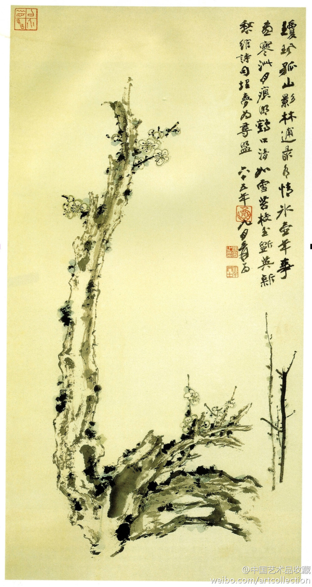 【 张大千 《老梅》 】立轴，纸本设色，105×51cm，1976年作，台北国立历史博物馆藏。 此作品耐人寻味，用笔自然松灵、爽朗，传统功力跃然纸上。