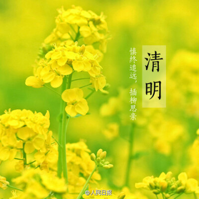 【今日，清明】#清明节#，寄托哀思、缅怀先人的日子。怀念离去的亲人，我们的血液里流淌着他们的血液。祭奠离去的先烈，我们的生活里烙印着他们的生活。每一段生命都值得记取和尊重。缅怀，感恩。