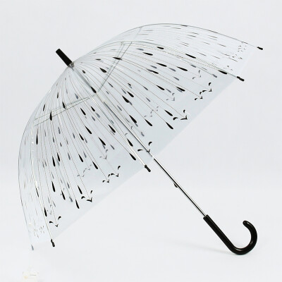 天玮KS雨伞含情脉脉透明雨点伞阿波罗伞POE长柄伞江浙沪包邮