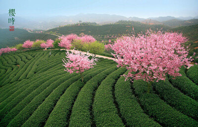 莲东—曹溪—中甲村—红尖山—永福