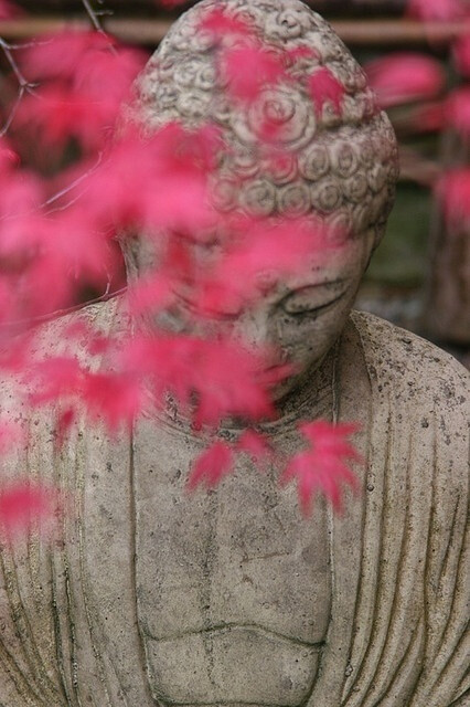 金刚怒目,所以降伏四魔;菩萨低眉,所以慈悲六道