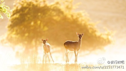 你温柔的样子，像阳光一样暖。Photo by：Andrew Evans