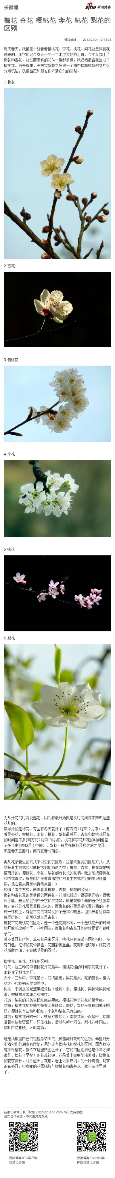 梅花 杏花 樱桃花 李花 桃花 梨花的区别