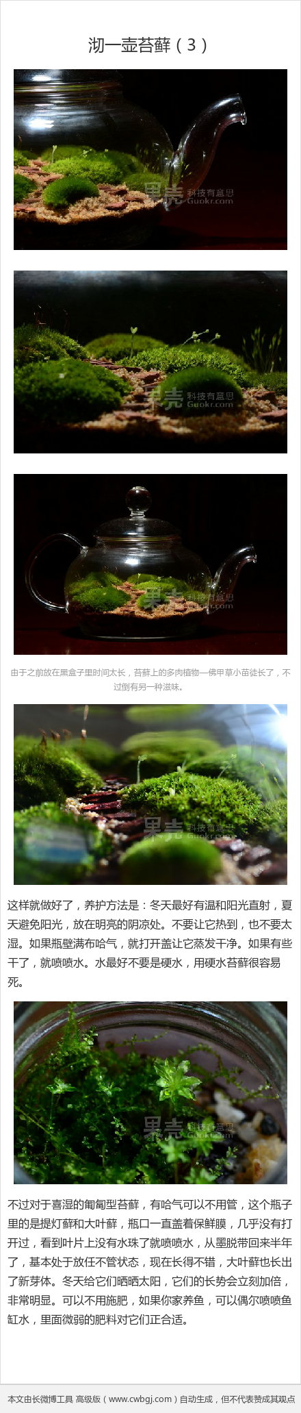 【沏一壶苔藓（3）】（转自：http://www.guokr.com/article/436722/?utm_source=bshare&amp;amp;utm_campaign=bshare&amp;amp;utm_medium=douban）