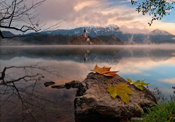 【远在斯洛文尼亚的梦之岛】布莱德湖（Lake Bled）是斯洛文尼亚西北部阿尔卑斯山南麓的一个冰川湖。这里被誉为欧洲最美丽的角落之一，也是摄影爱好者最钟爱的地方之一。无论日升日落、春夏秋冬、阴晴雾雪，都能捕捉到绝美的瞬间。