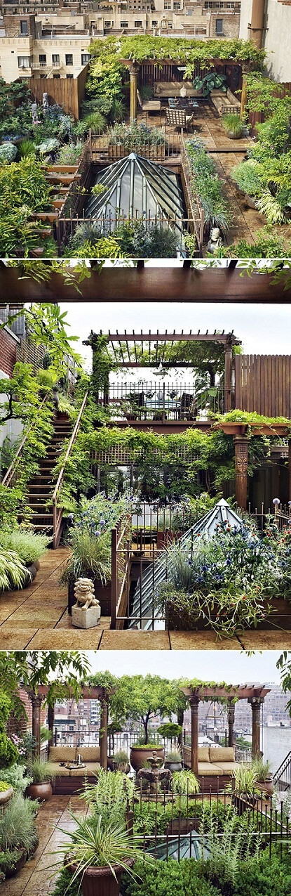 Rooftop Garden - NYC...