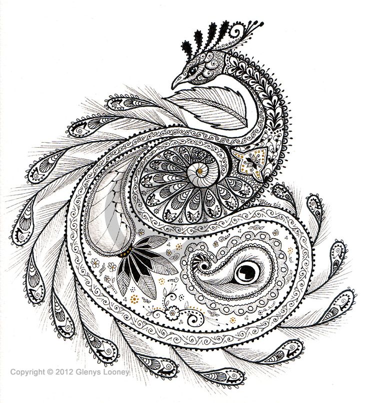 Zentangle - Paisley Peacock, © Glenys Looney.