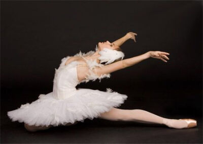 swan lake