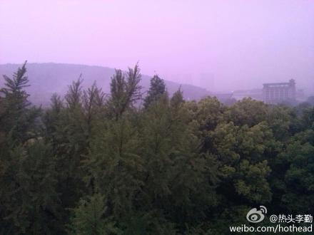 很喜欢雨后的珞珈，白的白，墨的墨，碧的碧，宛如一幅中国写意山水画卷在眼前卷开。其实，世上又有多少生命，能如樱花般在绚烂之极时飘散？我们应该做的，便是珍惜身边的每个瞬间每个人，和那份如水墨般淡淡的爱恋吧。