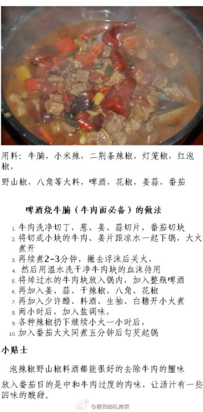 【啤酒烧牛腩（牛肉面必备）的做法】