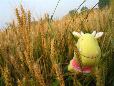 小牛牛宝宝~~这个设计我最满意的是牛宝宝的面部表情，小豆眼、笑弯的嘴角、吐出一截的小舌头，以及头上萌