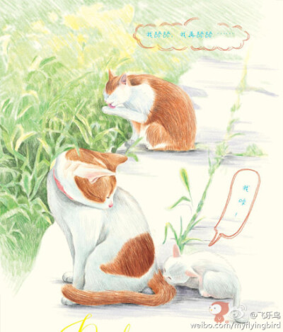 #鸟酱的画#《色铅笔下的猫咪天国》—这本收录了101只萌猫咪的色铅笔图绘，与其说是教大家如何画猫咪，更像是新一代猫奴们必备的色铅笔图绘。哈哈！快来看看这些猫咪的萌态，哪一只是你的最爱呢？