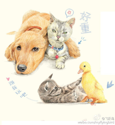 #鸟酱的画#《色铅笔下的猫咪天国》—这本收录了101只萌猫咪的色铅笔图绘，与其说是教大家如何画猫咪，更像是新一代猫奴们必备的色铅笔图绘。哈哈！快来看看这些猫咪的萌态，哪一只是你的最爱呢？